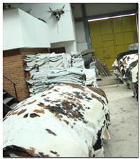 tannery.png