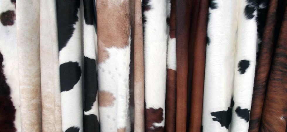 Cowhide Rugs The Timeless Animal Skin Rug Cowhide Rugs