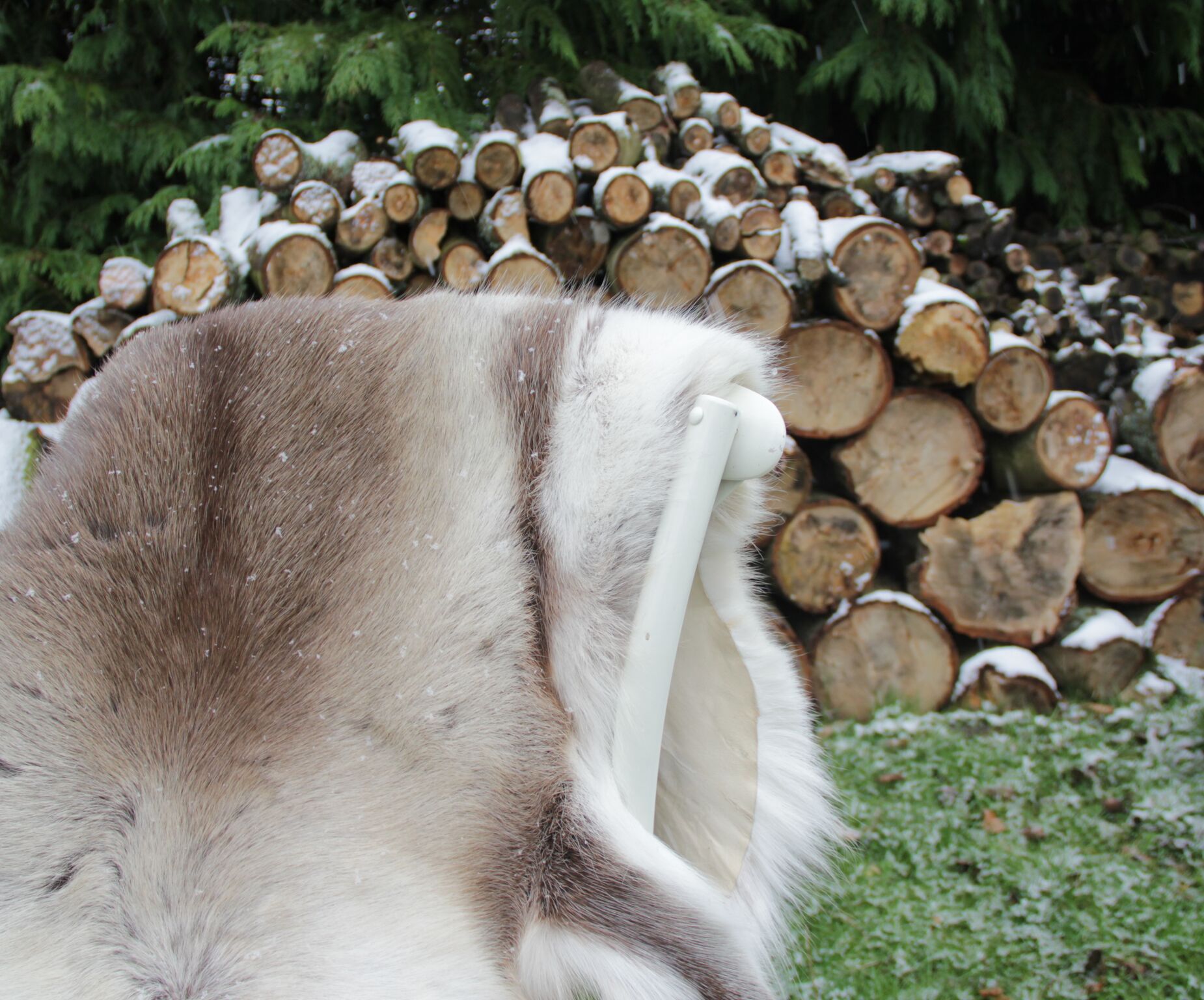 Reindeer Hide Rugs