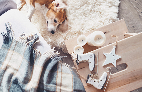 Sheepskin Rug